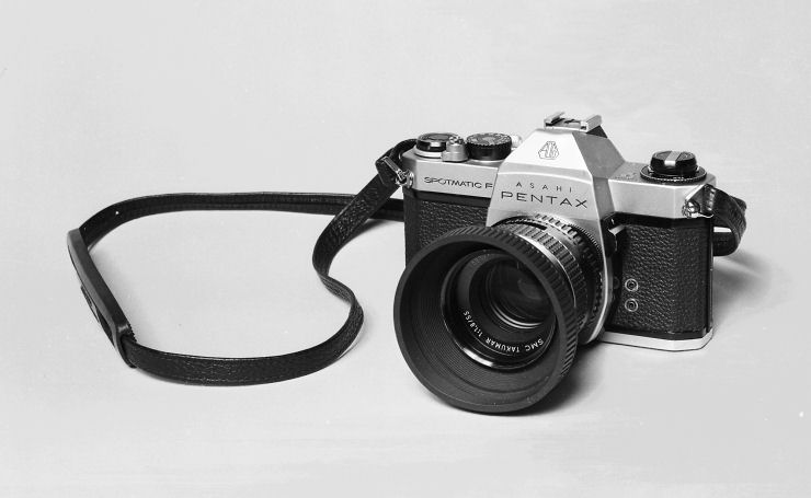 spotF-sm.jpg